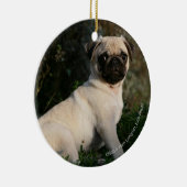 Fawn Pug Puppy Sitting Keramisch Ornament (Rechts)