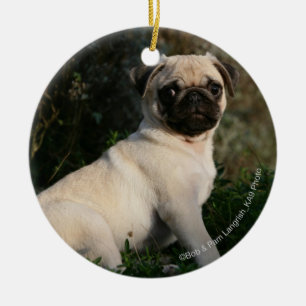 Fawn Pug Puppy Sitting Keramisch Ornament