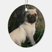 Fawn Pug Puppy Sitting Keramisch Ornament (Links)