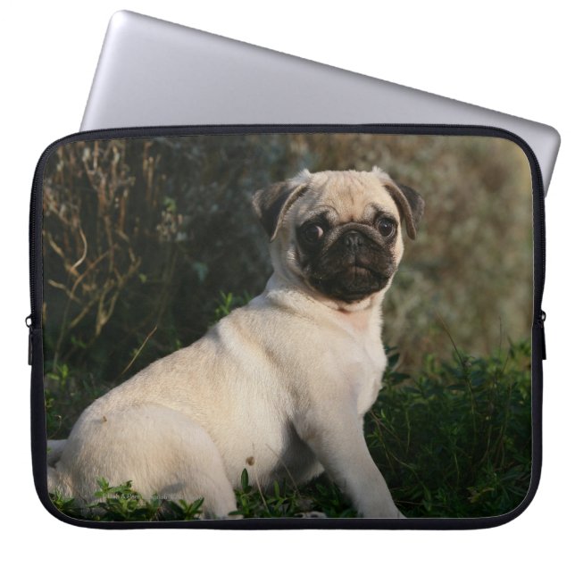 Fawn Pug Puppy Sitting Laptop Sleeve (Voorkant)