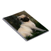 Fawn Pug Puppy Sitting Notitieboek (Rechterzijde)