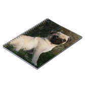 Fawn Pug Puppy Sitting Notitieboek (Linkerzijde)