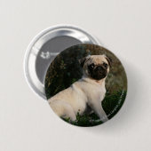 Fawn Pug Puppy Sitting Ronde Button 5,7 Cm (Voorkant /achterkant)