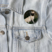 Fawn Pug Puppy Sitting Ronde Button 5,7 Cm (In situ)