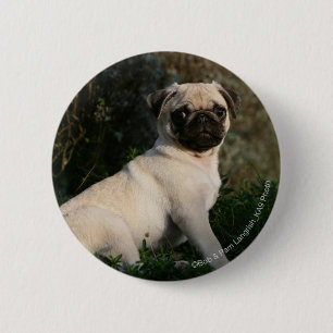 Fawn Pug Puppy Sitting Ronde Button 5,7 Cm