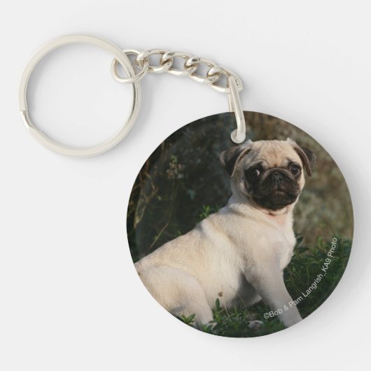 Fawn Pug Puppy Sitting Sleutelhanger (Voorkant)