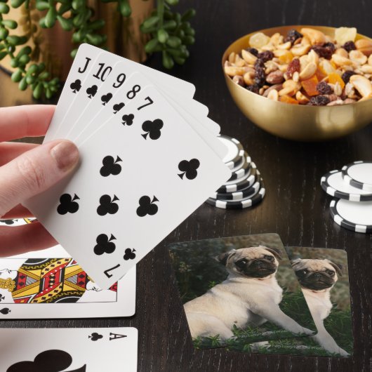Fawn Pug Puppy Sitting Speelkaarten (Insitu)