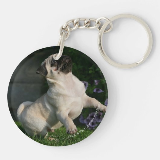 Fawn Pug Puppy Sleutelhanger (Achterkant)