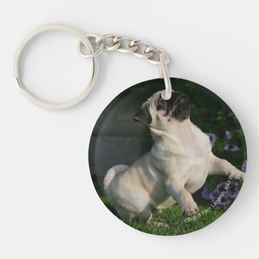 Fawn Pug Puppy Sleutelhanger (Voorkant)