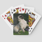 Fawn Pug Puppy Speelkaarten (Achterkant)