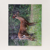 Fawn Puzzel (Verticaal)