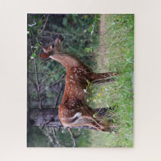 Fawn Puzzel (Verticaal)