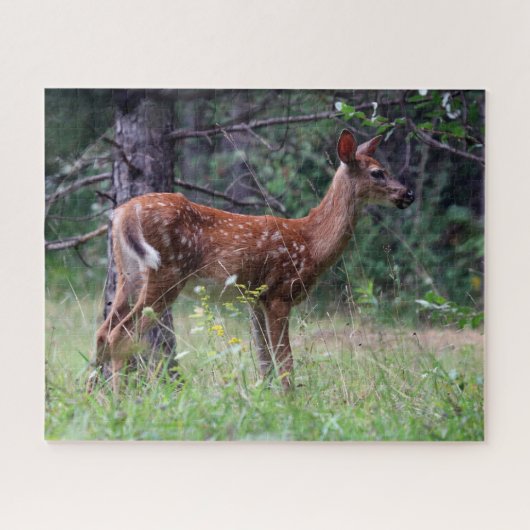 Fawn Puzzel (Horizontaal)