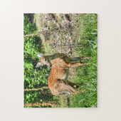 Fawn Puzzel Legpuzzel (Verticaal)