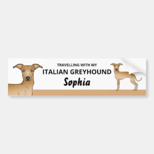 Fawn - Reizen met mijn Italiaanse hond Greyhound Bumpersticker