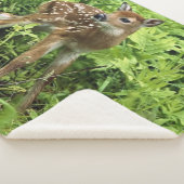 FAWN SHERPA DEKEN (3/4)