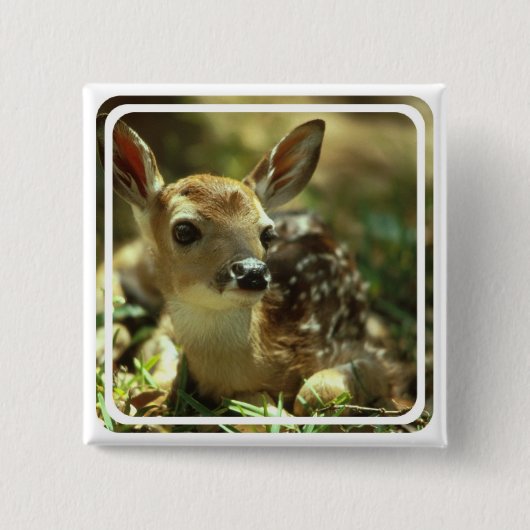 Fawn Square Pin Vierkante Button 5,1 Cm (Voorkant)