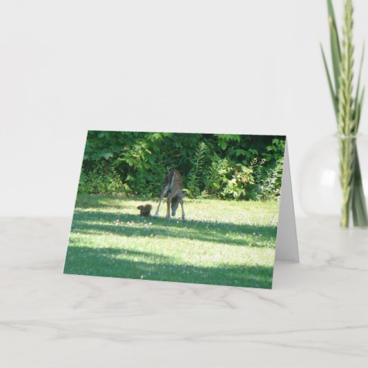 Fawn Squirrel Friends Kaart (Voorkant)