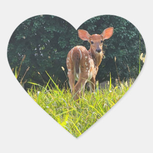 Fawn Standing in the Grass Hart Sticker
