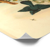 Fawn Tailed Red Flycatcher Bird  Print (Hoek)