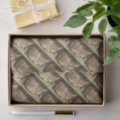 Fawn Tissuepapier (Geschenk)