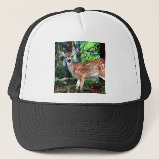 Fawn Trucker Pet (Voorkant)