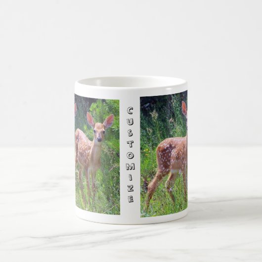 Fawn Twins in the Hawkweed Mok (Center)