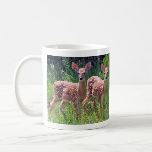 Fawn Twins in the Hawkweed Mok (Links)