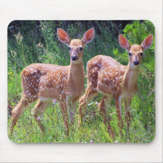 Fawn Twins in the Hawkweed Mousepad Muismat