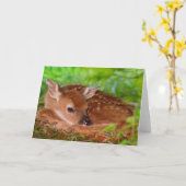 Fawn Wenskaart Kaart (Gele Bloem)