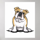 Fawn White Bulldog Sit  Poster (Voorkant)