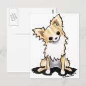 Fawn & White Longhair Chihuahua Sit  Briefkaart (Voorkant / Achterkant)