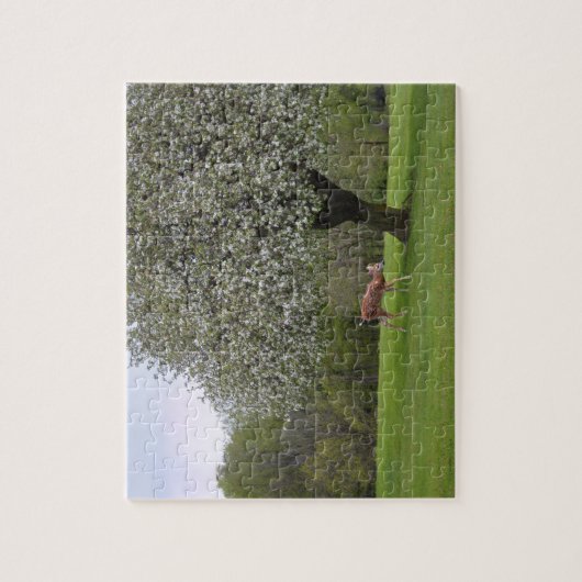 Fawn with Blossom Tree jigzaag puzzle Legpuzzel (Verticaal)