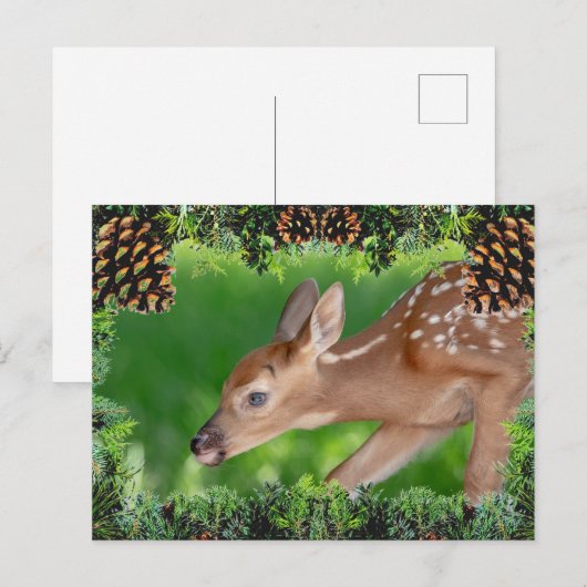 Fawn (witstaarthert) Kerst Kaart (Voorkant / Achterkant)