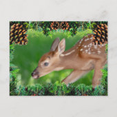 Fawn (witstaarthert) Kerst Kaart (Voorkant)