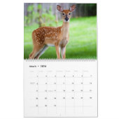 Fawns Kalender (Mar 2026)