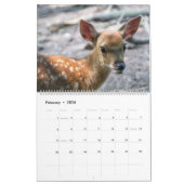 Fawns Kalender (Feb 2026)