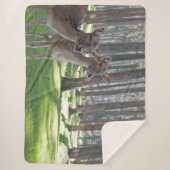 FAWNS SHERPA DEKEN (Voorkant)