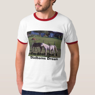 FAY ABAH DAAL & DIADHEMS DREAM.. T-SHIRT