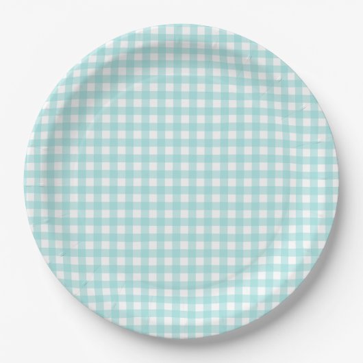 Faye en Lauren Aqua Blue Gingham Papieren Bordje (Voorkant)