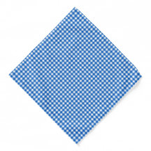 Faye en Lauren Blue Gingham