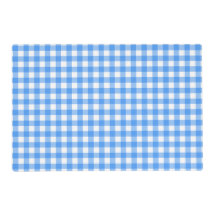 Faye en Lauren Sky Blue Gingham