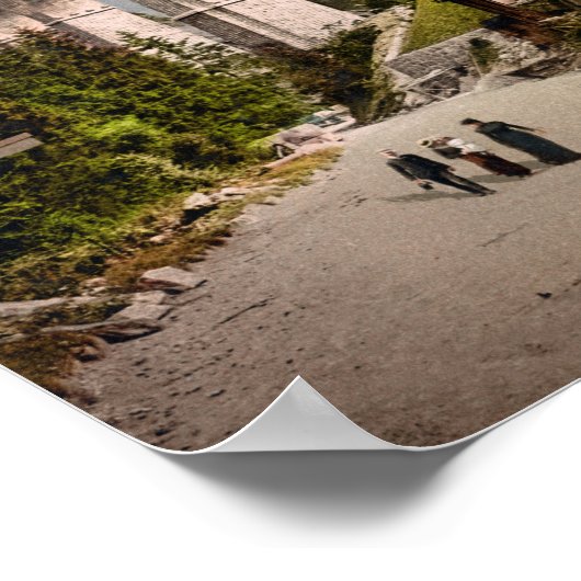 Fayet-Chamonix Spoorweg 1900 Photochrom Poster (Hoek)