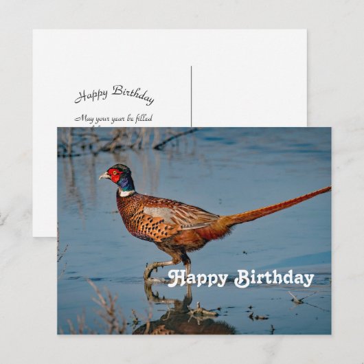 Fazant Blauw Water Foto Verjaardag Briefkaart (Voorkant / Achterkant)