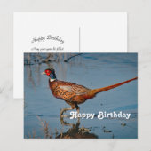 Fazant Blauwe Water Foto Verjaardag Briefkaart (Voorkant / Achterkant)