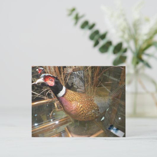 fazant briefkaart (Staand voorkant)