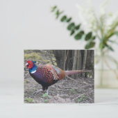 fazant briefkaart (Staand voorkant)