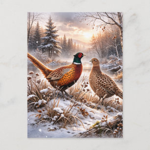Fazant  briefkaart