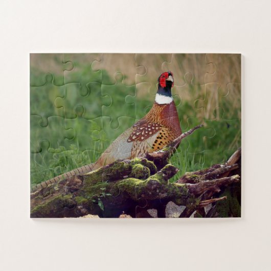 Fazant door Wildlife Fallen Tree Oversized Legpuzzel (Horizontaal)