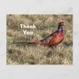 Fazant Foto Bedankt Briefkaart